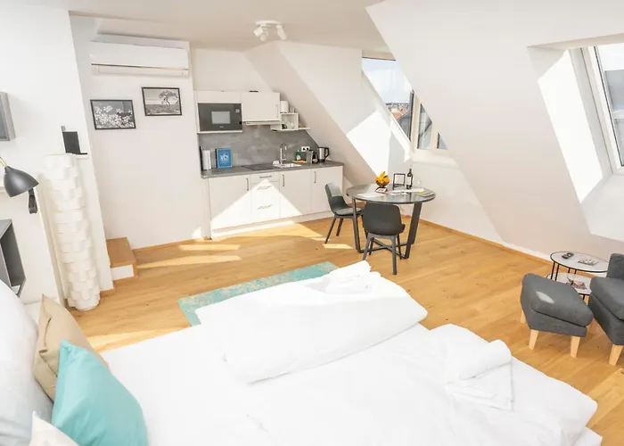 Rooftop Apartments Mit Grosser Terrasse