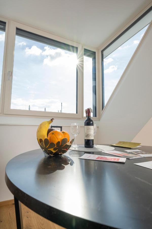 Appartement Rooftop Mit Grosser Terrasse